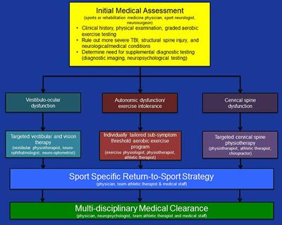 Frontiers | A Physiological Approach To Assessment And Rehabilitation ...